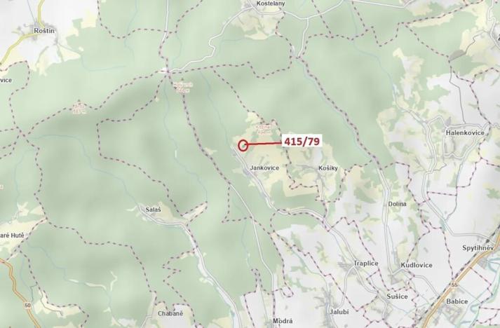 Dražba louky, Jankovice, 2523 m2