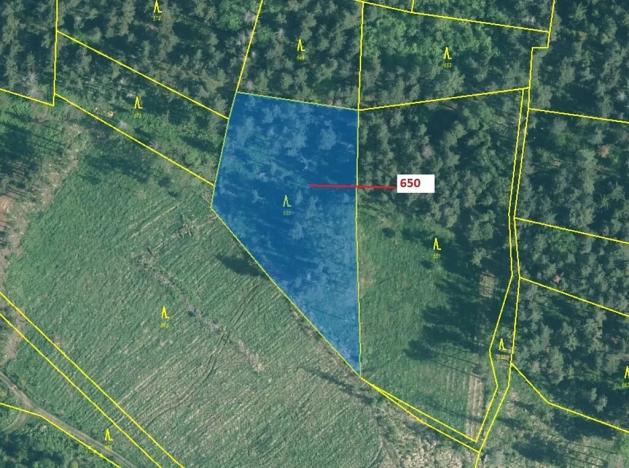 Dražba lesa, Kuřimany, 3688 m2