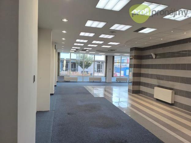 Pronájem obchodního prostoru, Vyškov, Dobrovského, 288 m2