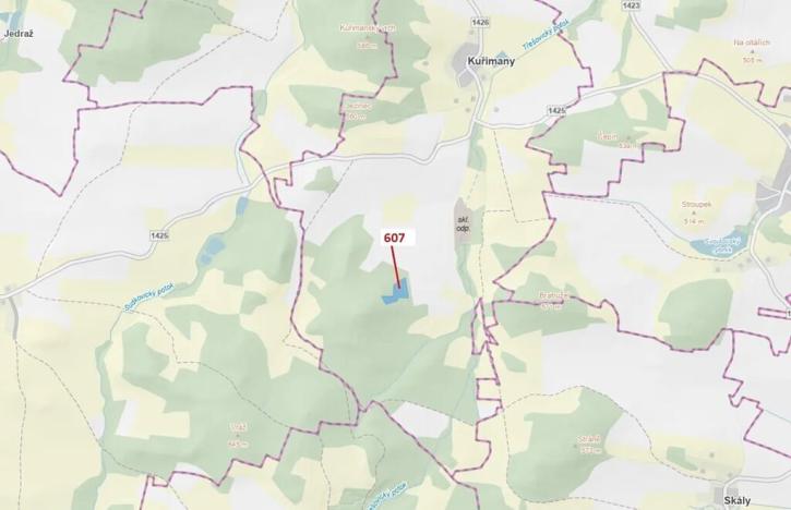 Dražba lesa, Kuřimany, 10437 m2