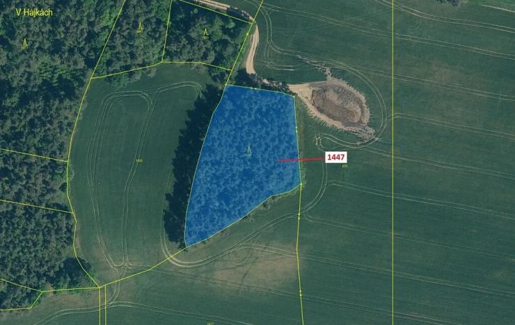 Dražba lesa, Hradiště, 4542 m2