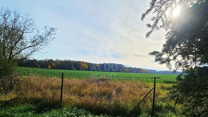 Prodej rodinného domu, Čejetice, 125 m2