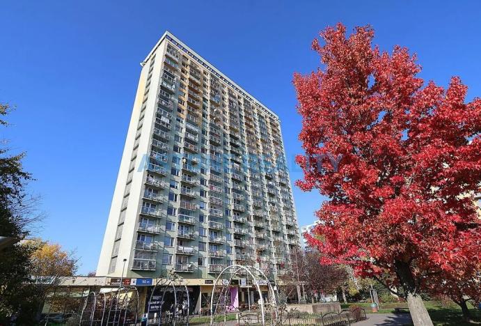 Prodej bytu 1+1, Praha - Záběhlice, Jabloňová, 32 m2