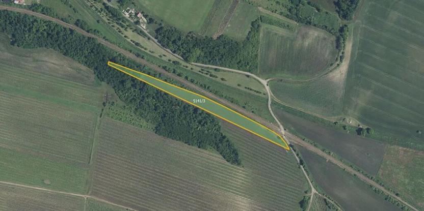 Prodej sadu/vinice, Novosedly, 6655 m2