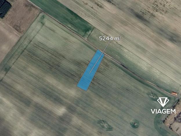 Prodej pole, Kostelní Hlavno, 5244 m2