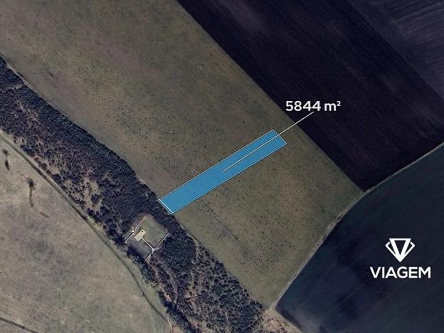 Prodej podílu lesa, Převýšov, 974 m2