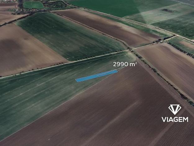 Prodej pole, Třibřichy, 2990 m2