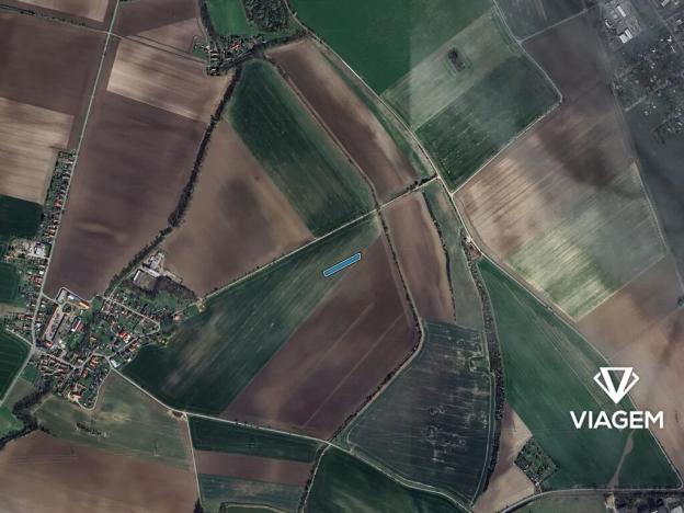 Prodej pole, Třibřichy, 2990 m2