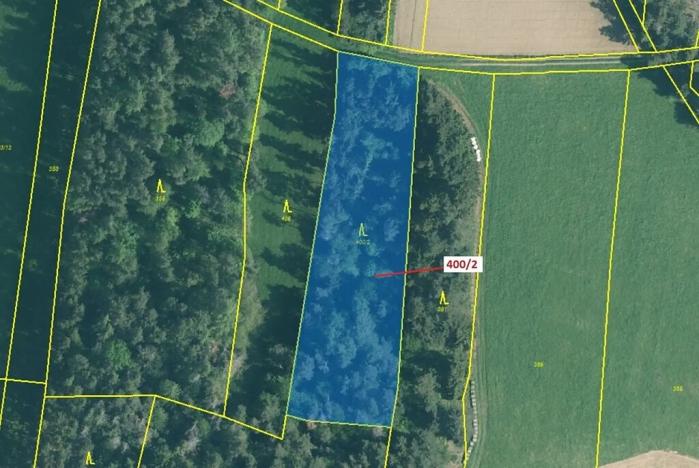 Dražba lesa, Bílsko, 3874 m2