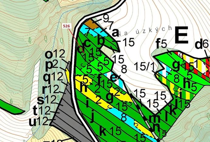 Dražba lesa, Náměšť nad Oslavou, 1796 m2