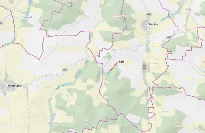 Dražba lesa, Kuřimany, 1719 m2