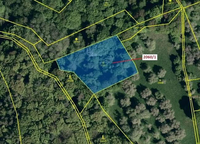 Dražba louky, Slopné, 2555 m2