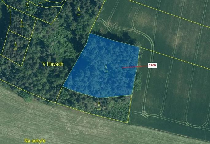 Dražba lesa, Hradiště, 3718 m2