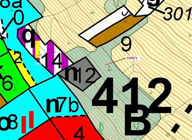 Dražba lesa, Zděchov, 1617 m2