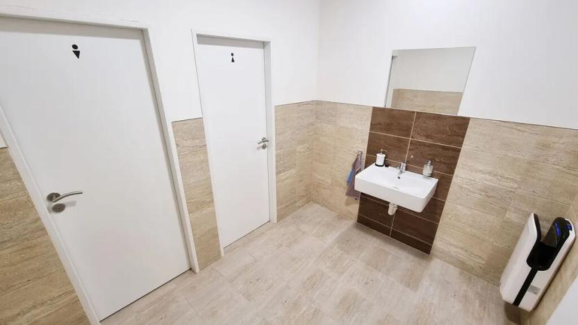 Pronájem komerční nemovitosti, Brno, Sukova, 233 m2