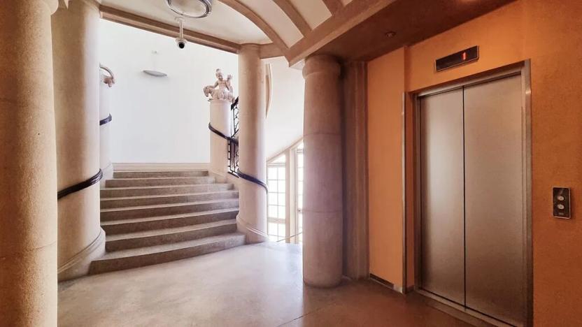 Pronájem komerční nemovitosti, Brno, Sukova, 233 m2