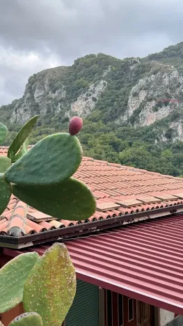 Prodej rodinného domu, San Piero Patti, Itálie, 130 m2