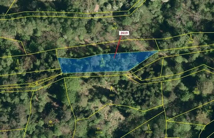 Dražba lesa, Zděchov, 867 m2