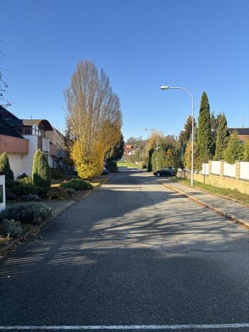 Pronájem bytu 3+1, Brno, Havláskova, 96 m2