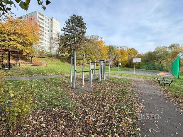 Prodej bytu 1+kk, Ústí nad Labem, Vinařská, 31 m2