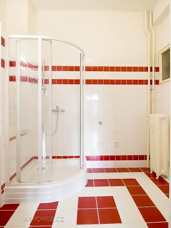 Pronájem bytu 1+1, Praha - Dejvice, Nikoly Tesly, 50 m2