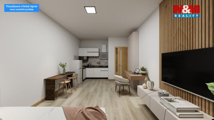 Prodej bytu 1+kk, Děčín - Děčín III-Staré Město, Žerotínova, 28 m2