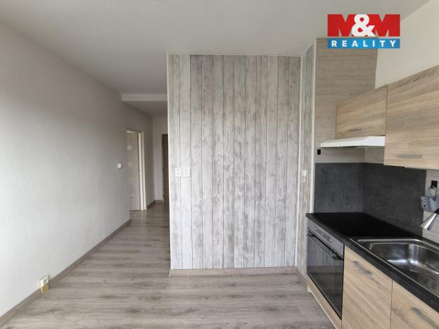 Pronájem bytu 1+1, Ústí nad Labem - Severní Terasa, Oblá, 41 m2