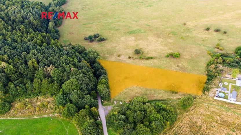 Prodej louky, Česká Lípa, 6261 m2