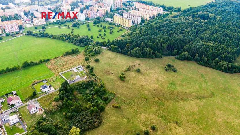 Prodej louky, Česká Lípa, 6261 m2