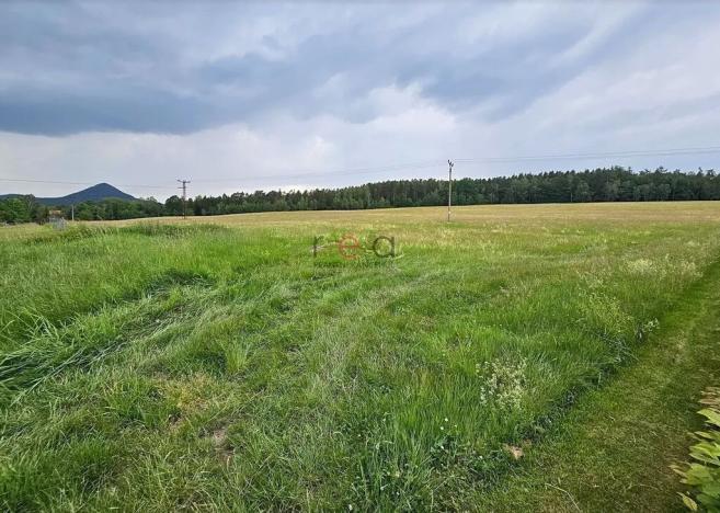 Prodej pozemku pro bydlení, Cvikov, 1725 m2