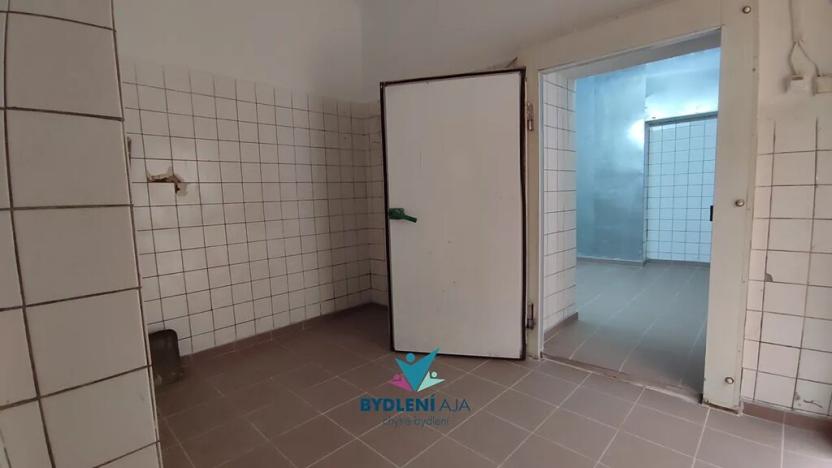 Pronájem obchodního prostoru, Teplice, Masarykova třída, 120 m2