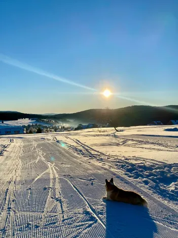 Prodej rodinného domu, Kvilda, 408 m2