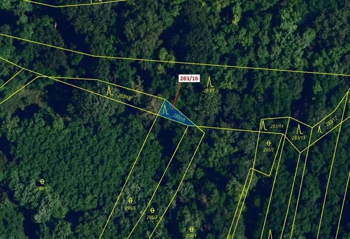 Dražba lesa, Ivančice, 71 m2