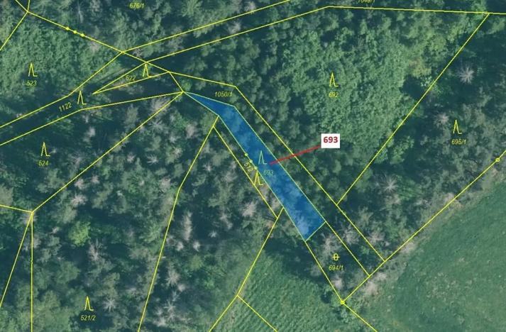 Dražba lesa, Kuřimany, 398 m2