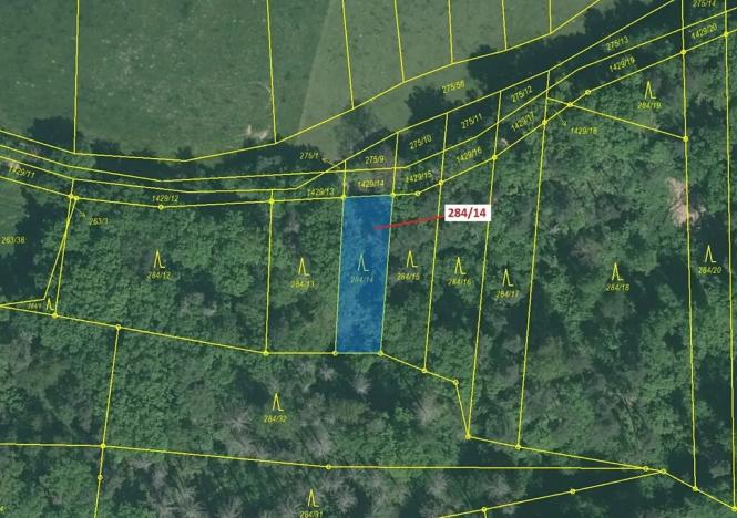 Dražba lesa, Milavče, 441 m2