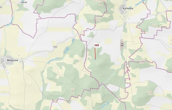 Dražba lesa, Kuřimany, 713 m2