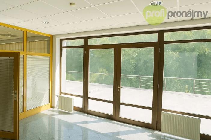 Pronájem obchodního prostoru, Vyškov, Palánek, 43 m2