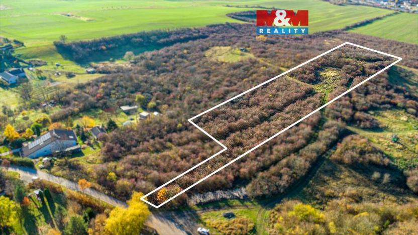 Prodej pozemku, Nepřevázka, 4672 m2