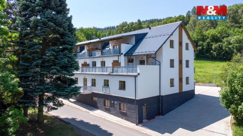 Prodej bytu 1+kk, Vrbno pod Pradědem, Žižkova, 31 m2