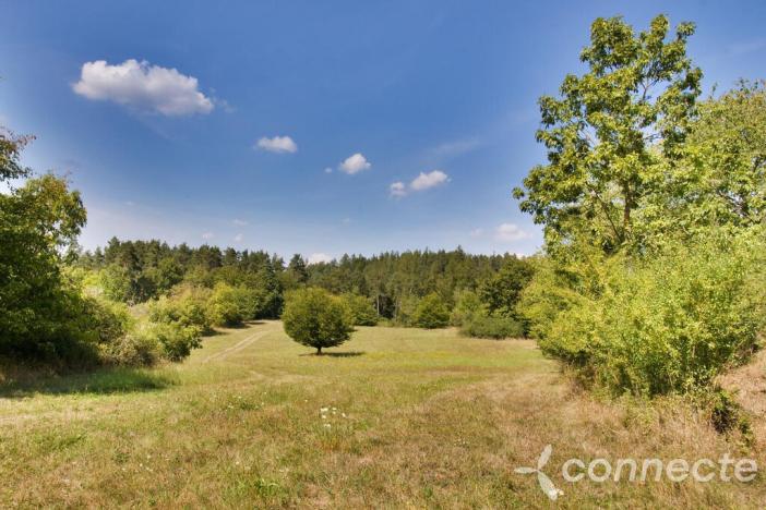 Prodej louky, Samopše, 14836 m2
