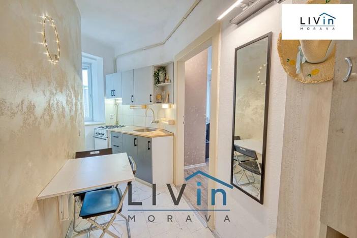 Pronájem bytu 1+1, Olomouc, Starodružiníků, 28 m2