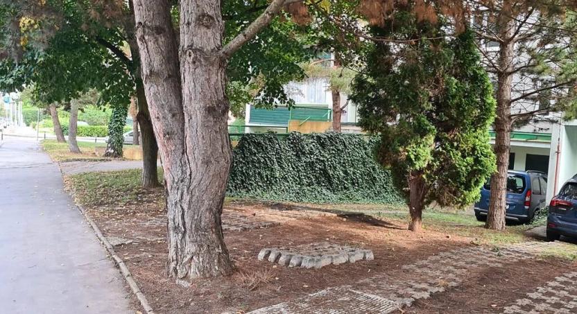 Pronájem bytu 1+kk, Praha - Liboc, Navigátorů, 20 m2