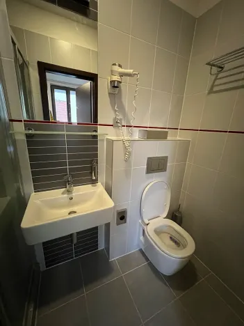 Pronájem bytu 1+kk, Brno, Francouzská, 20 m2