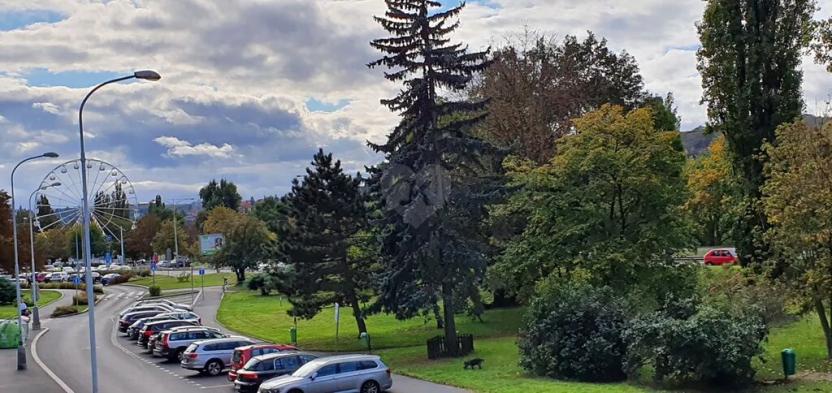 Pronájem obchodního prostoru, Praha - Podolí, Podolská, 96 m2