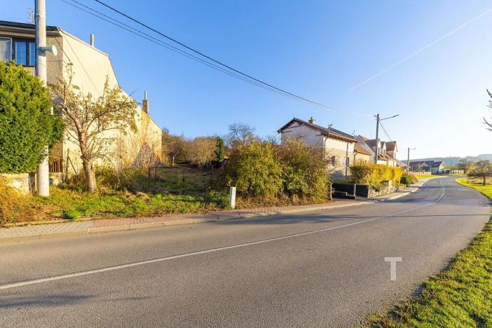 Prodej pozemku pro bydlení, Skalice nad Svitavou, 1626 m2