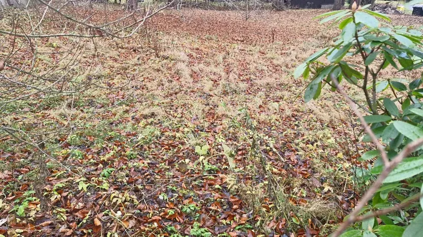 Prodej pozemku pro bydlení, Karlova Studánka, 900 m2
