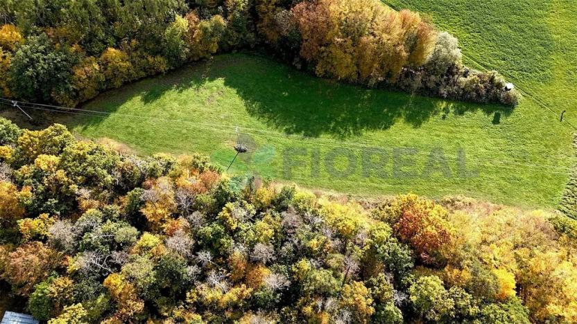 Prodej pozemku, Chotilsko, 16301 m2