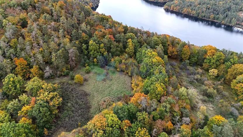 Prodej pozemku, Chotilsko, 16301 m2