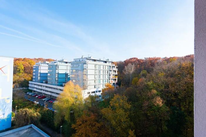 Prodej bytu 3+1, Praha - Hodkovičky, Pod lysinami, 80 m2