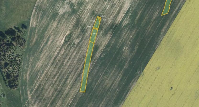 Prodej pole, Vyklantice, 9138 m2